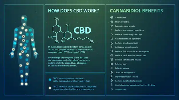 les principaux cannabinoides du cannabis